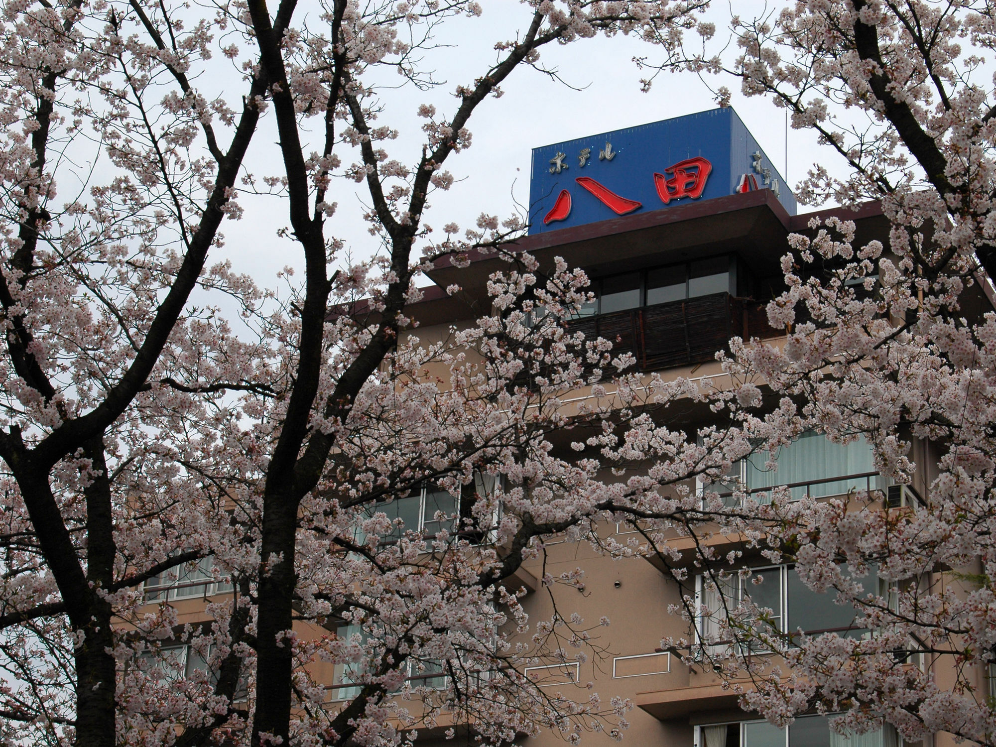 Hotel Hatta Fuefuki Extérieur photo